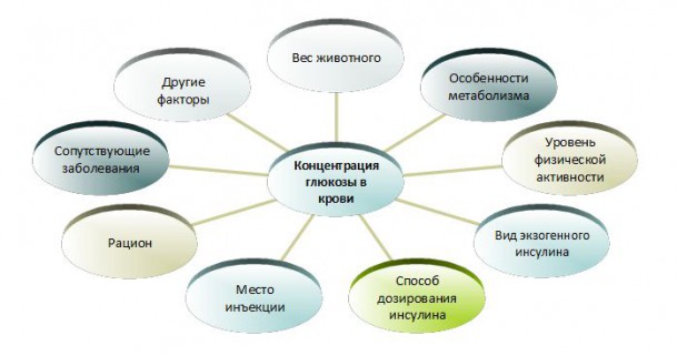 Корм для собак диабетиков пурина