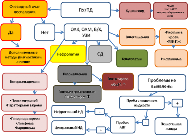 Дифференциальная диагностика при синдроме полиурии