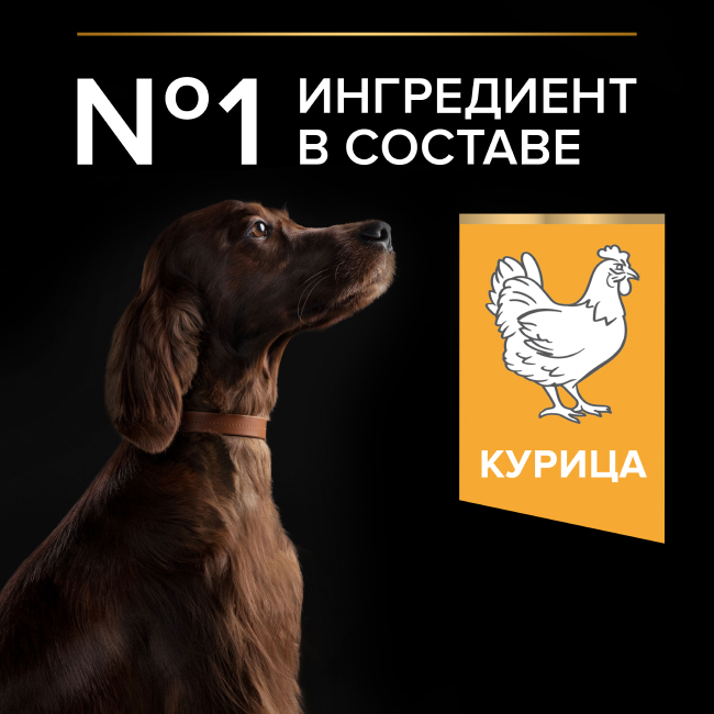 PRO PLAN® EVERYDAY NUTRITION для взрослых собак крупных пород с атлетическим телосложением, с высоким содержанием курицы