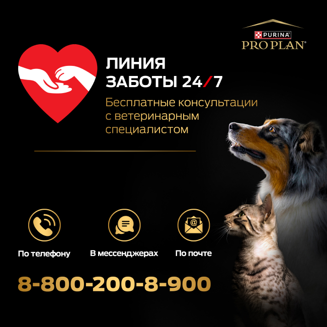 PRO PLAN® EVERYDAY NUTRITION для взрослых собак крупных пород с атлетическим телосложением, с высоким содержанием курицы