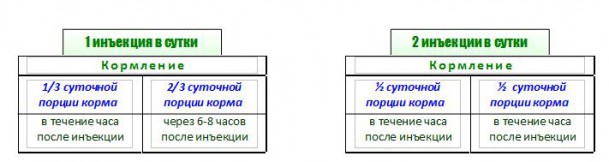 Аллергия у собак с диабетом