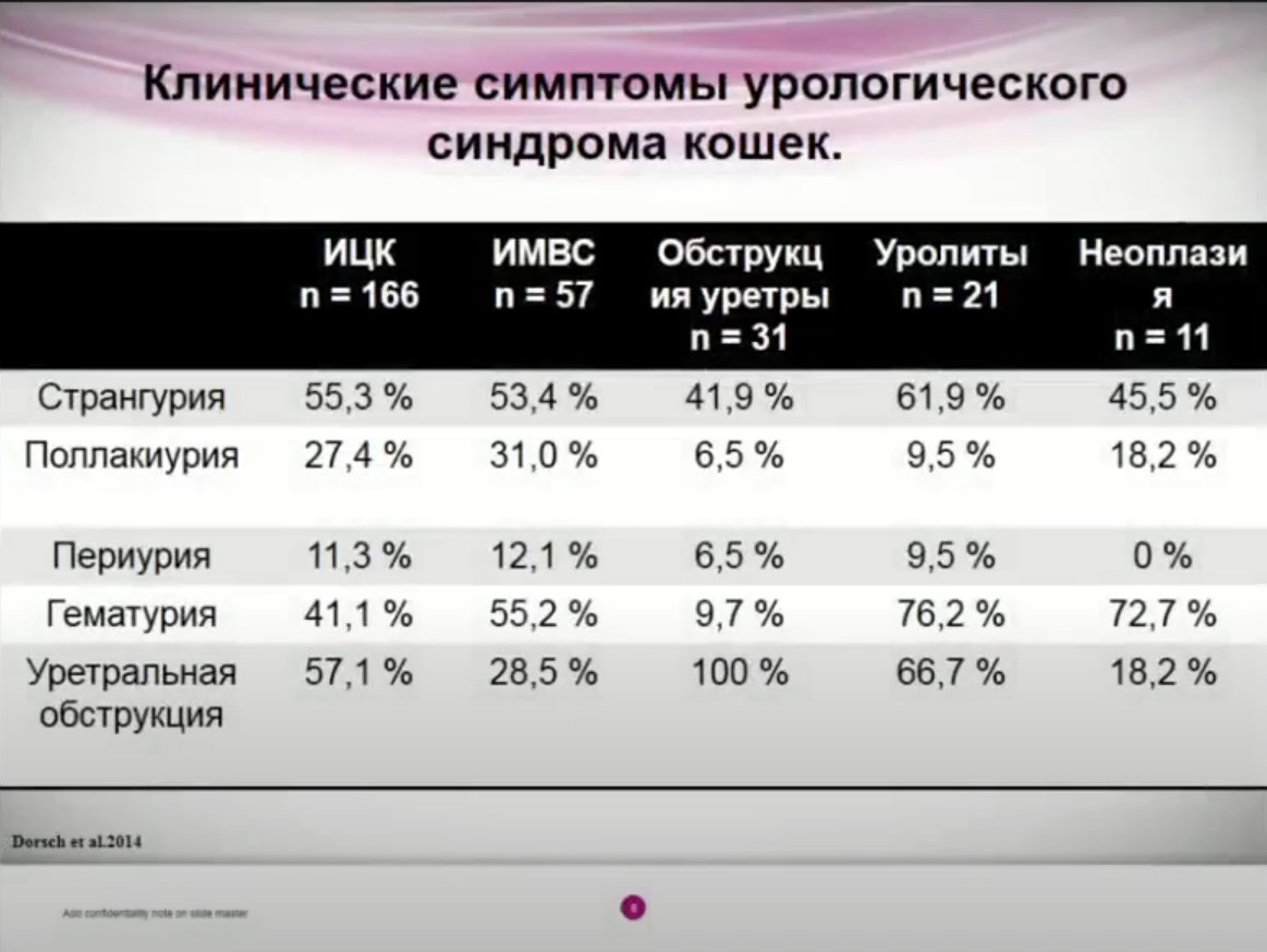 Клинические симптомы урологического синдрома кошек