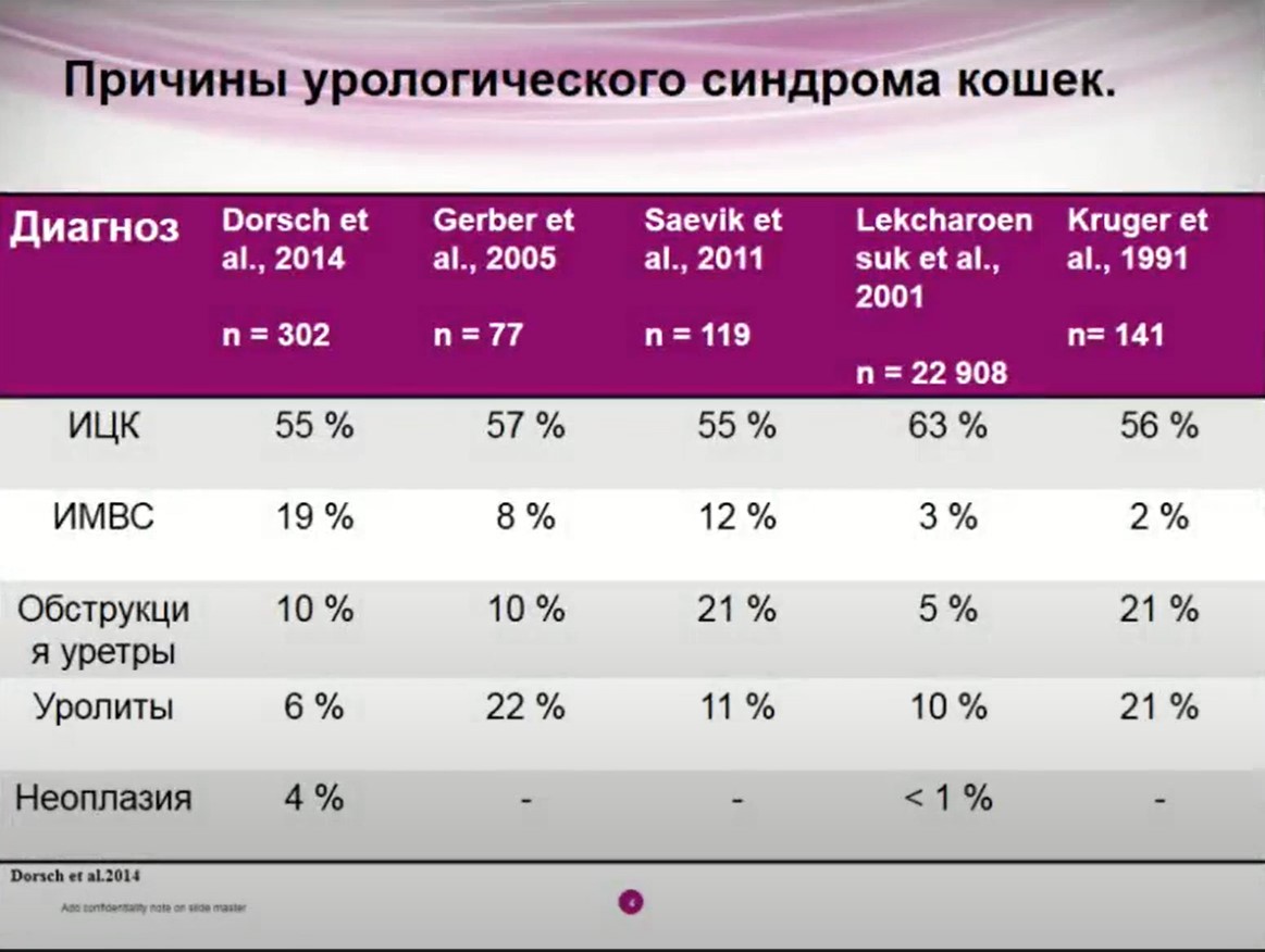 Причины урологического синдрома кошек