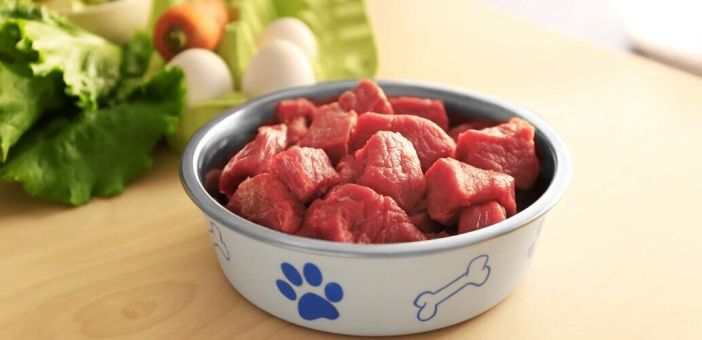 Диеты для кошек и собак на основе сырого мяса: недостатки и преимущества Диеты для кошек и собак на основе сырого мяса: недостатки и преимущества
