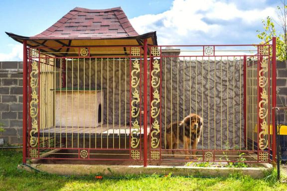 Строим вольер для собаки своими руками (фото): выбираем подходящий размер и чертеж